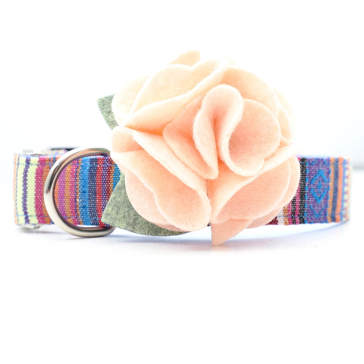 Dog Collar Hydrangea Flower
