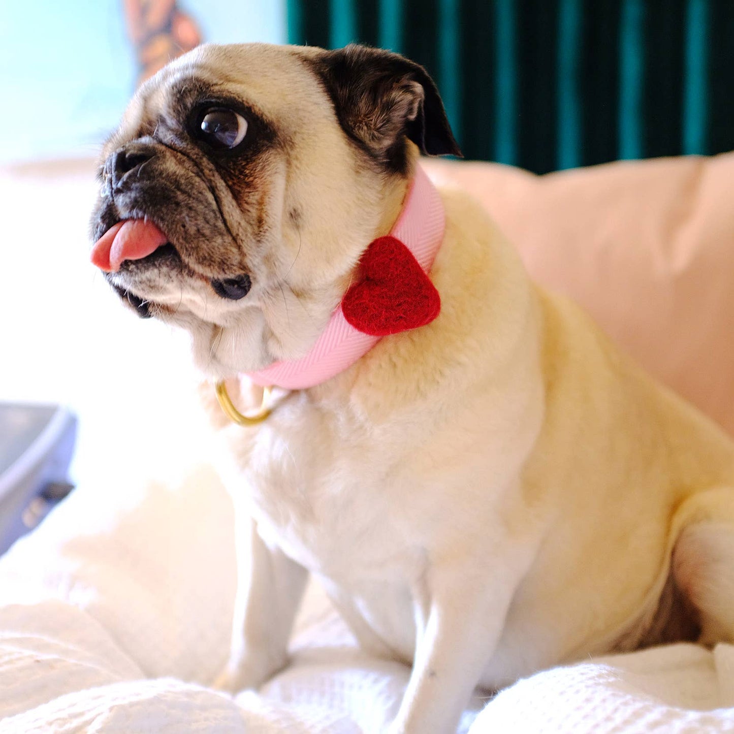 We Heart Dog Collar Accessory (Single) -10 Colors
