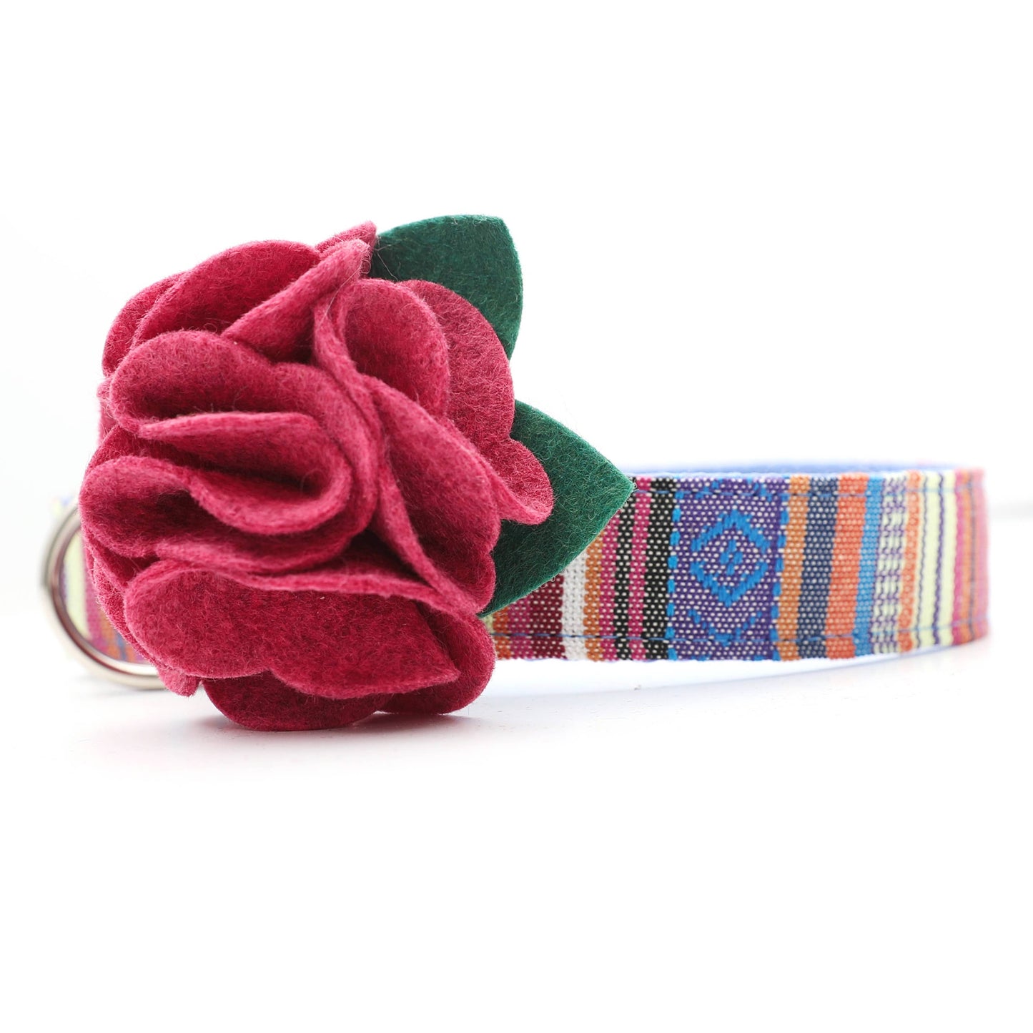 Dog Collar Hydrangea Flower