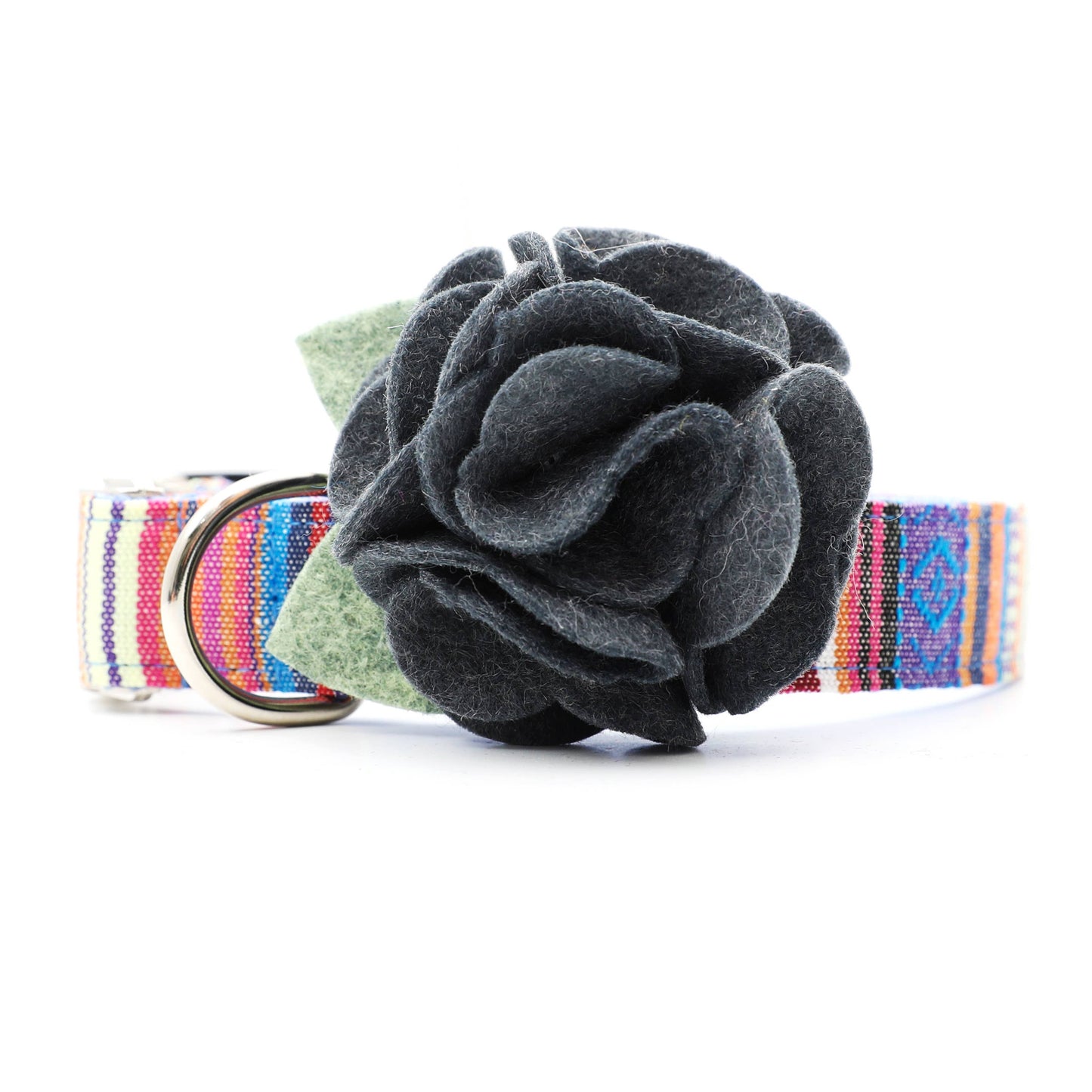 Dog Collar Hydrangea Flower