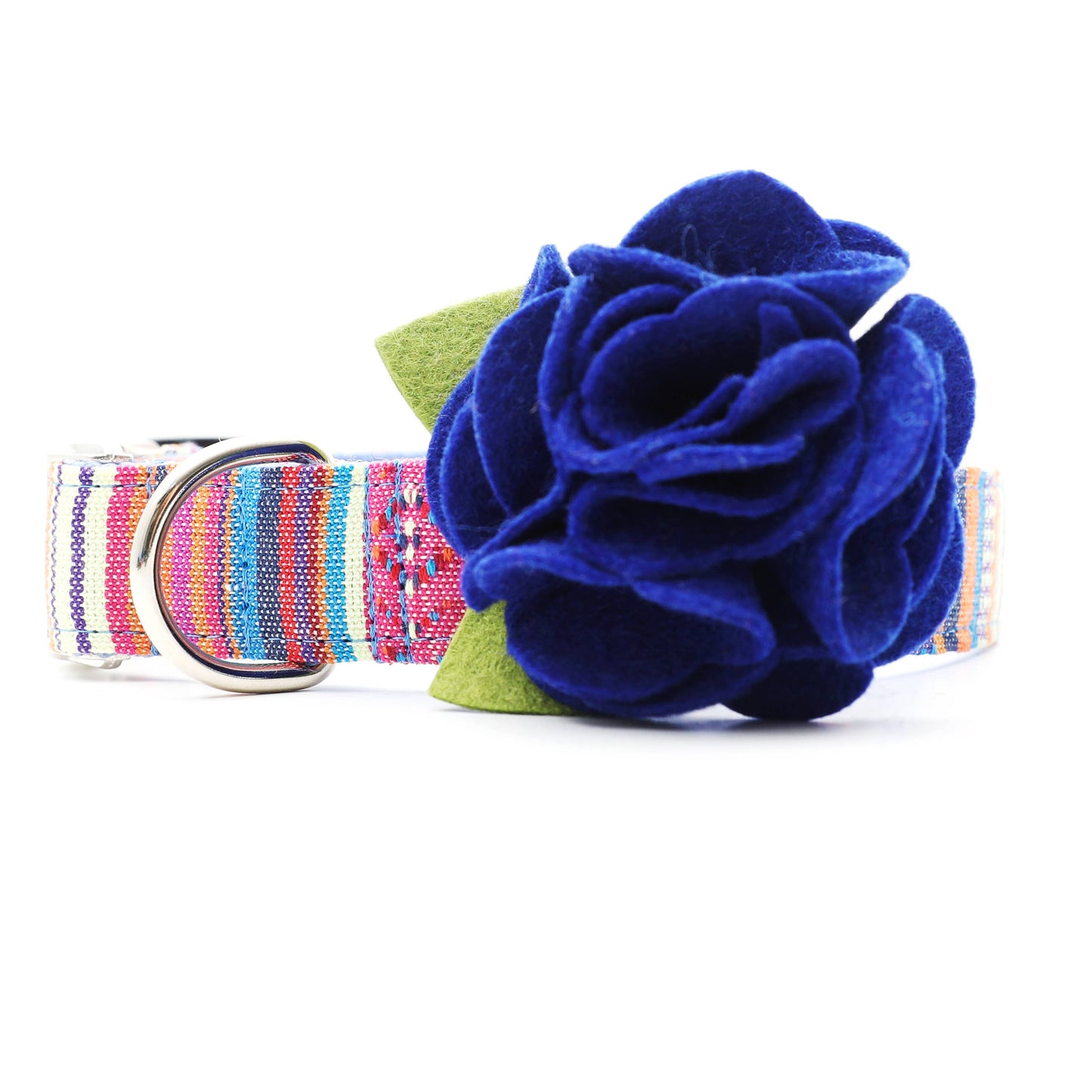 Dog Collar Hydrangea Flower