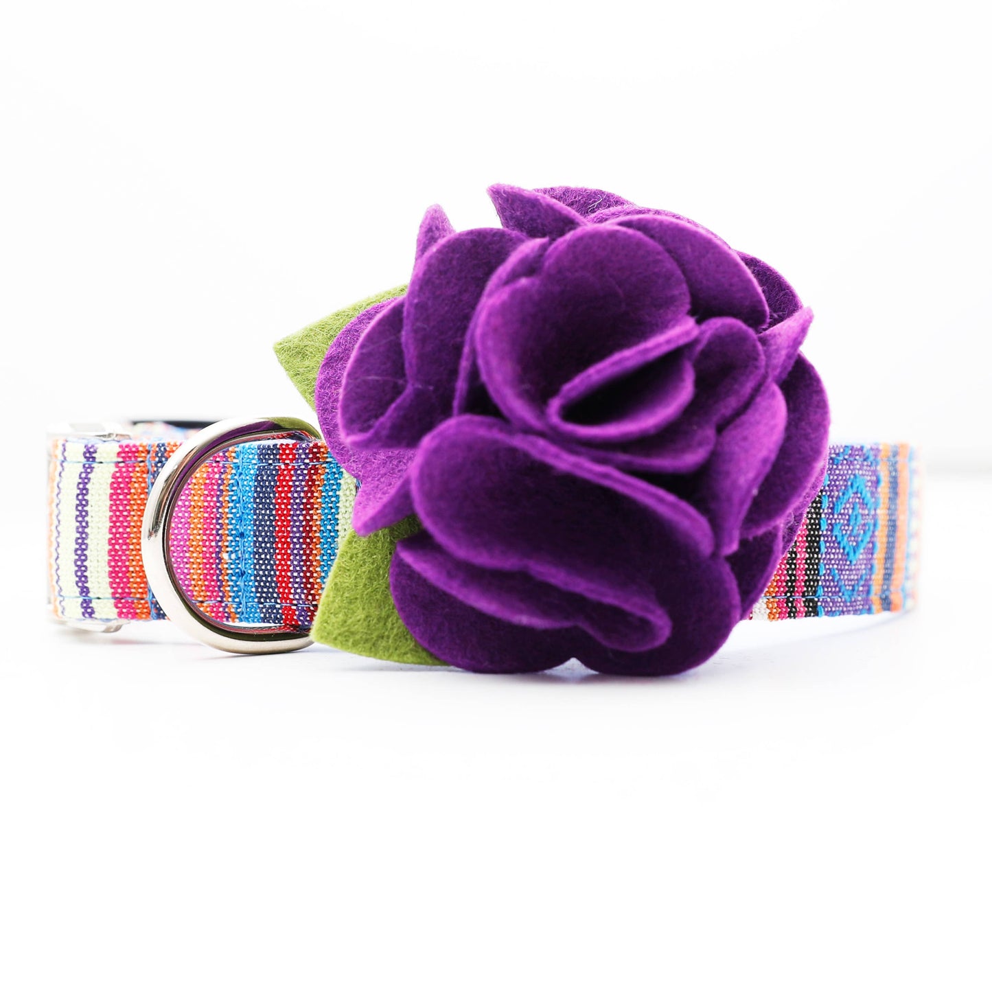 Dog Collar Hydrangea Flower