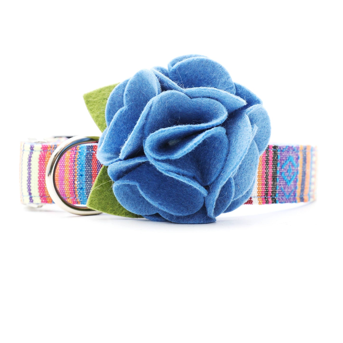 Dog Collar Hydrangea Flower