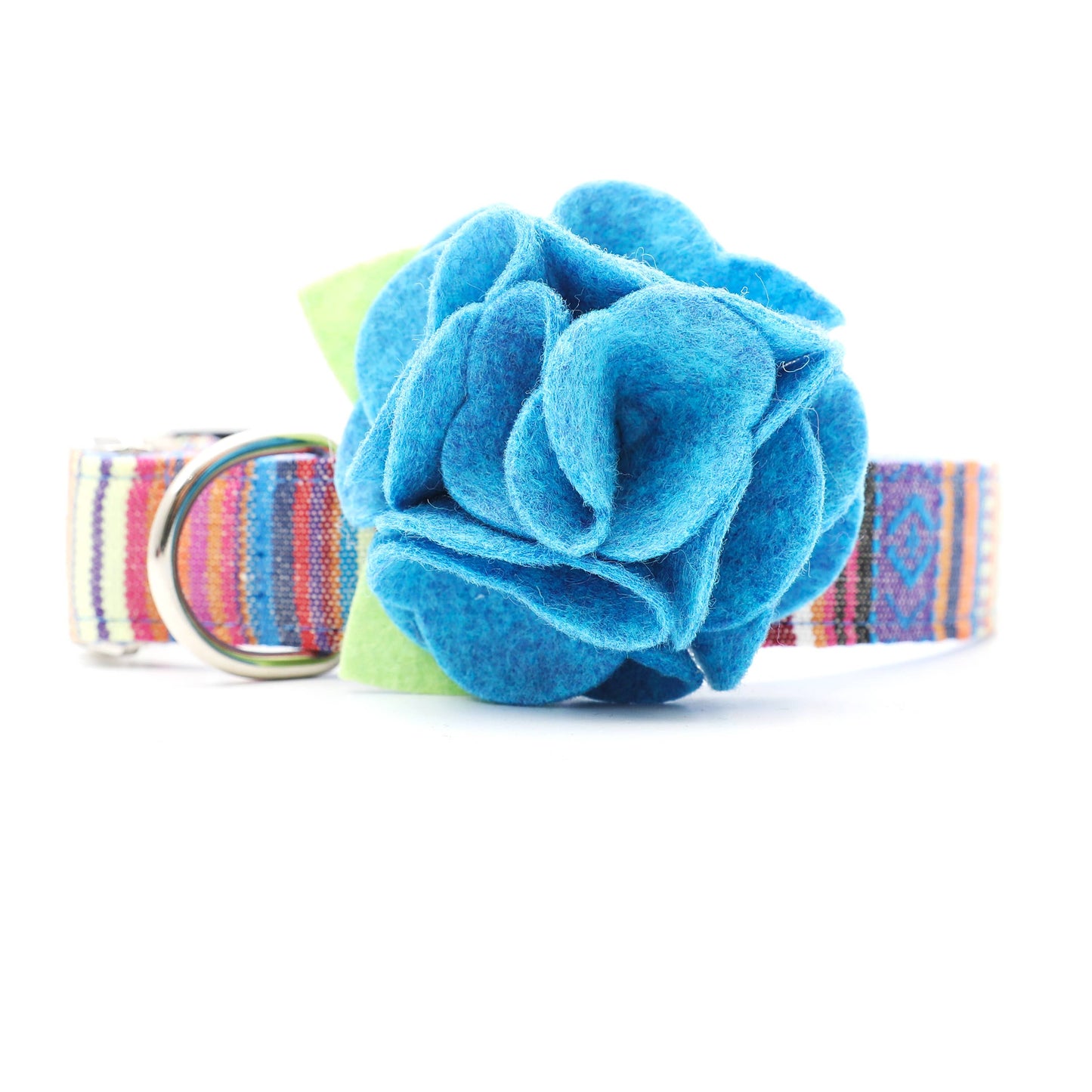 Dog Collar Hydrangea Flower