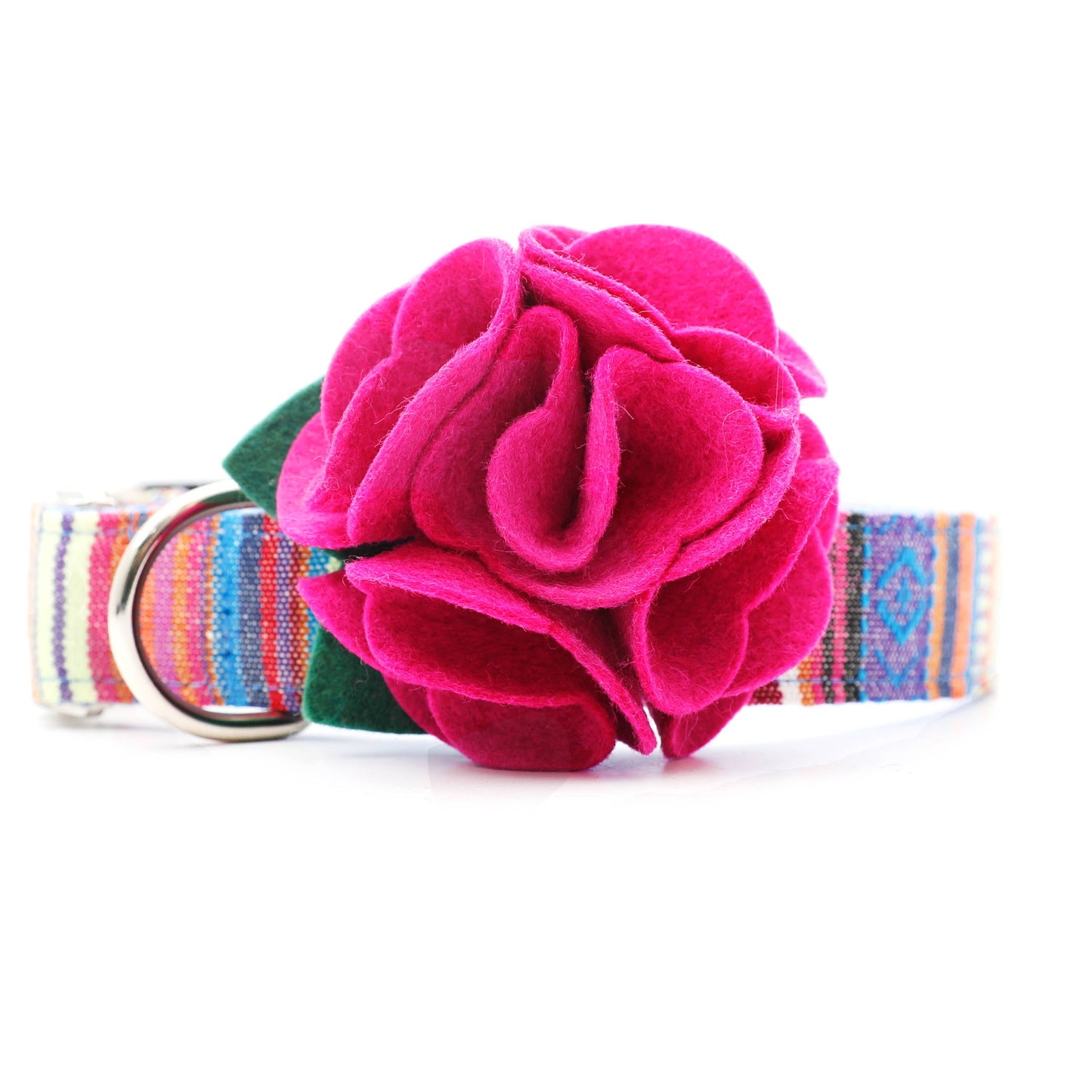 Dog Collar Hydrangea Flower