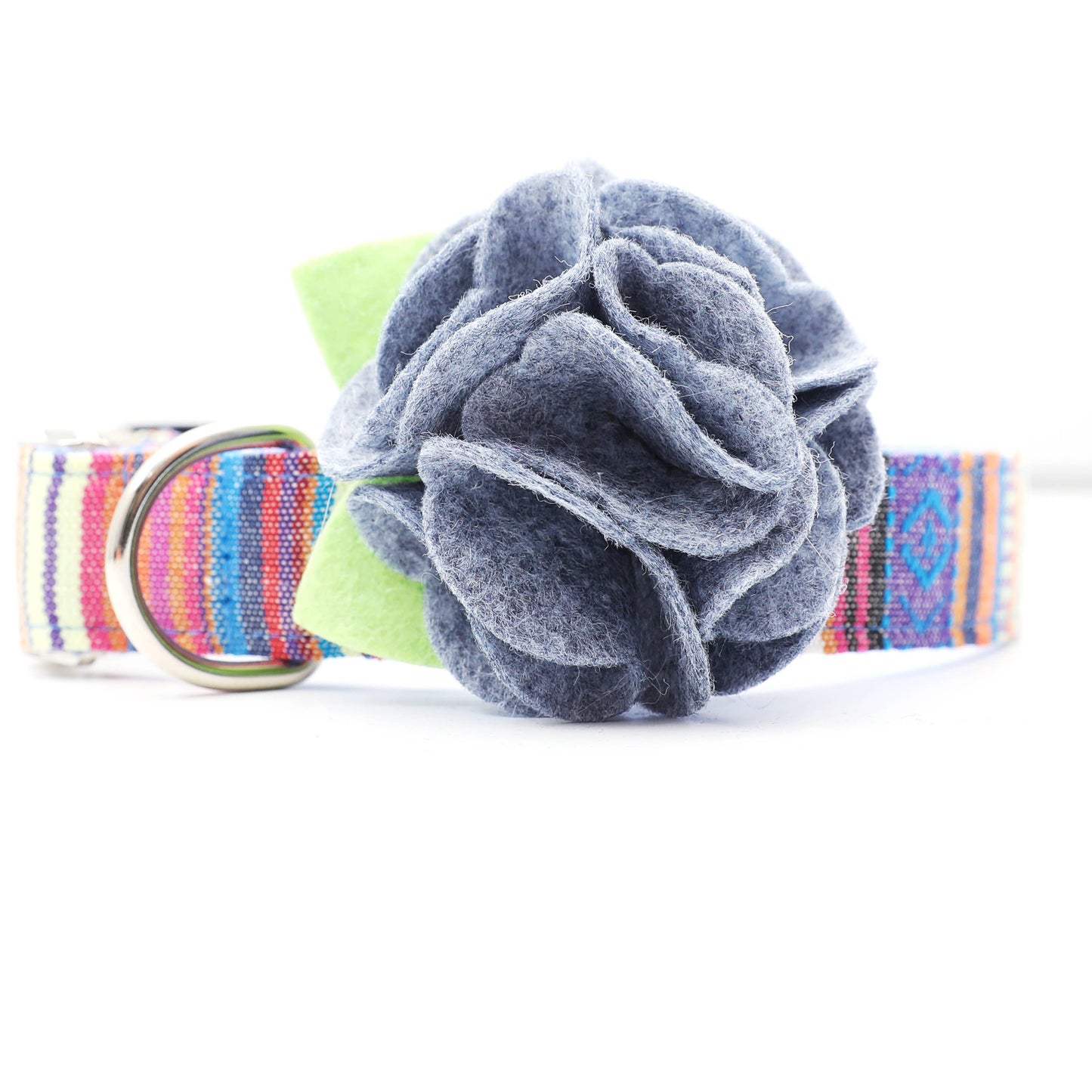 Dog Collar Hydrangea Flower
