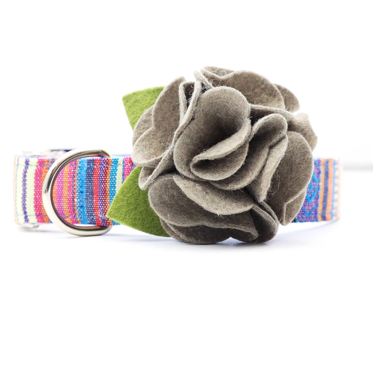Dog Collar Hydrangea Flower