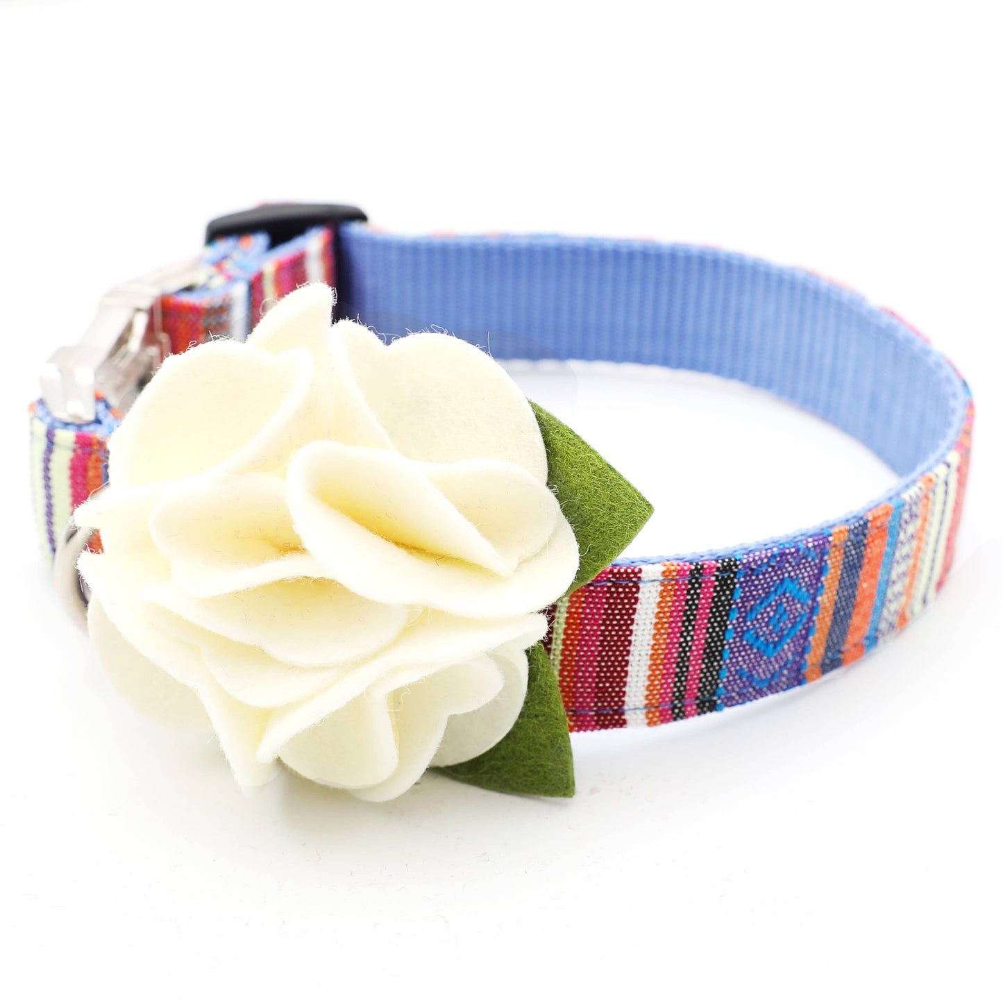 Dog Collar Hydrangea Flower