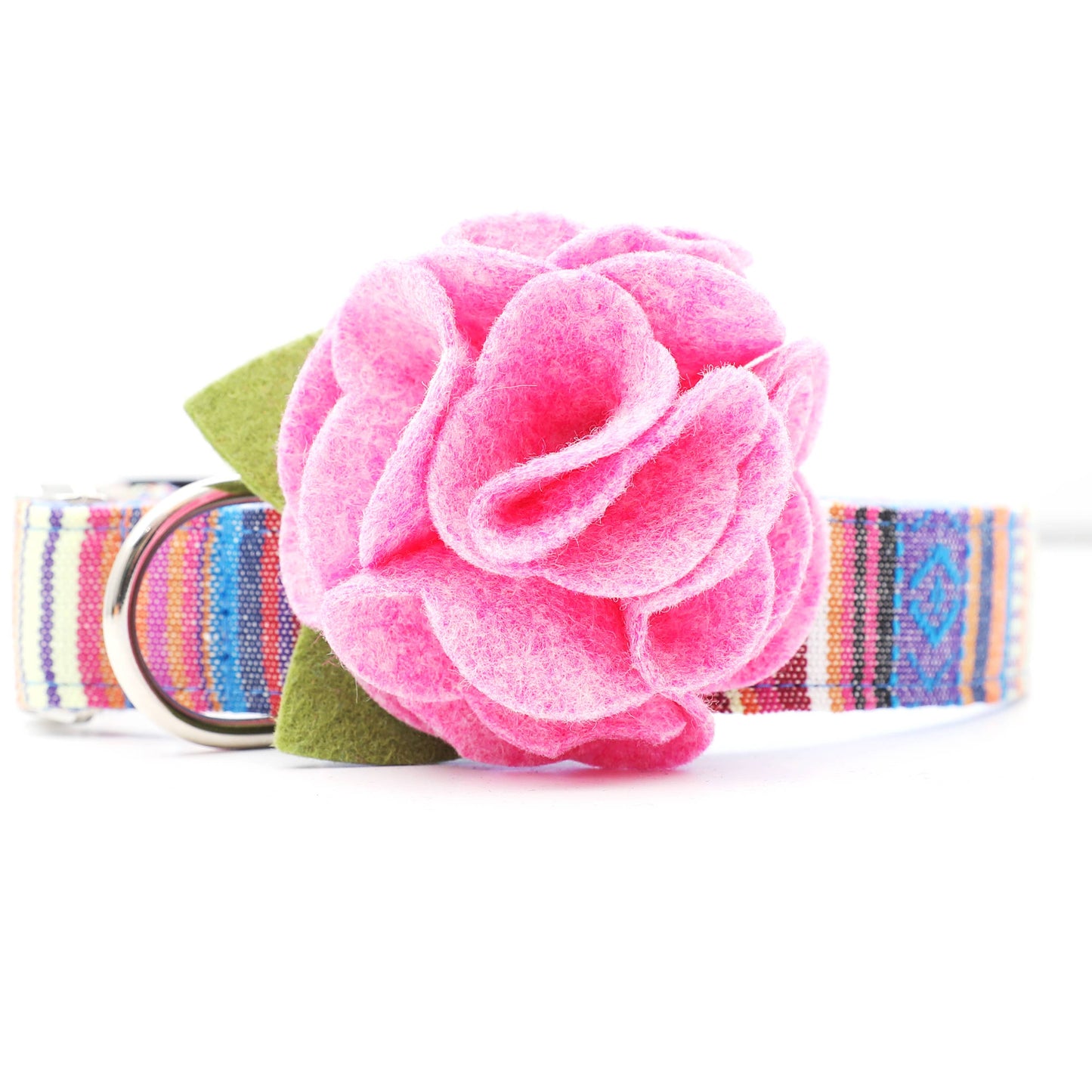 Dog Collar Hydrangea Flower