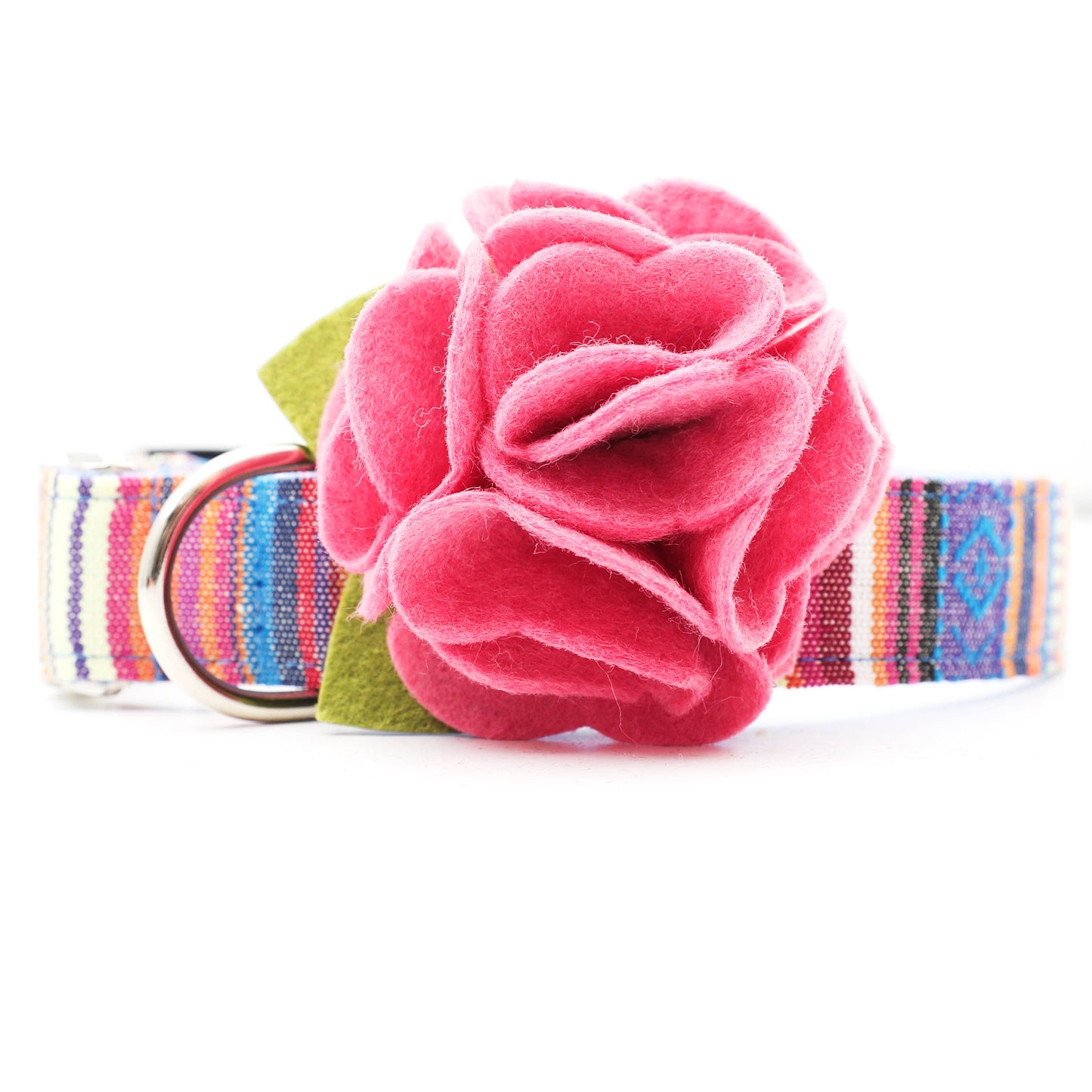 Dog Collar Hydrangea Flower