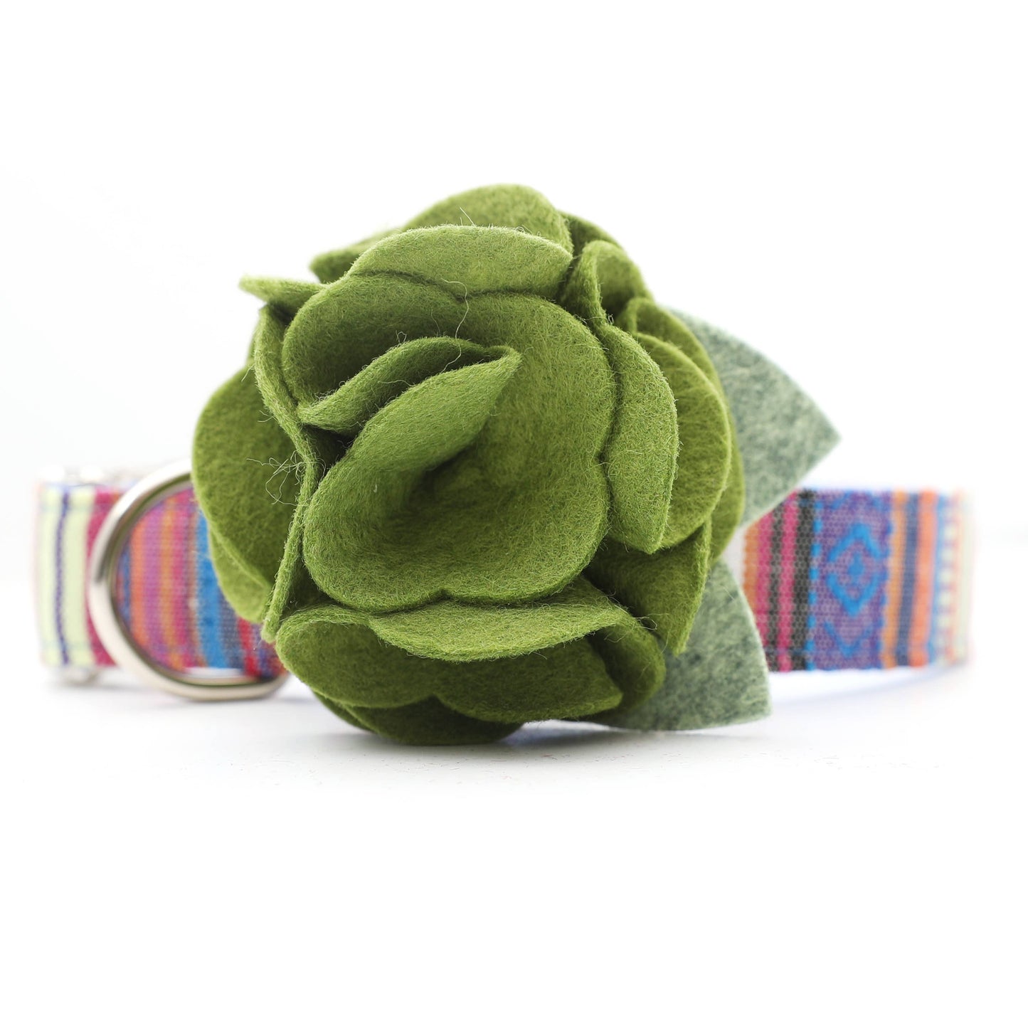 Dog Collar Hydrangea Flower