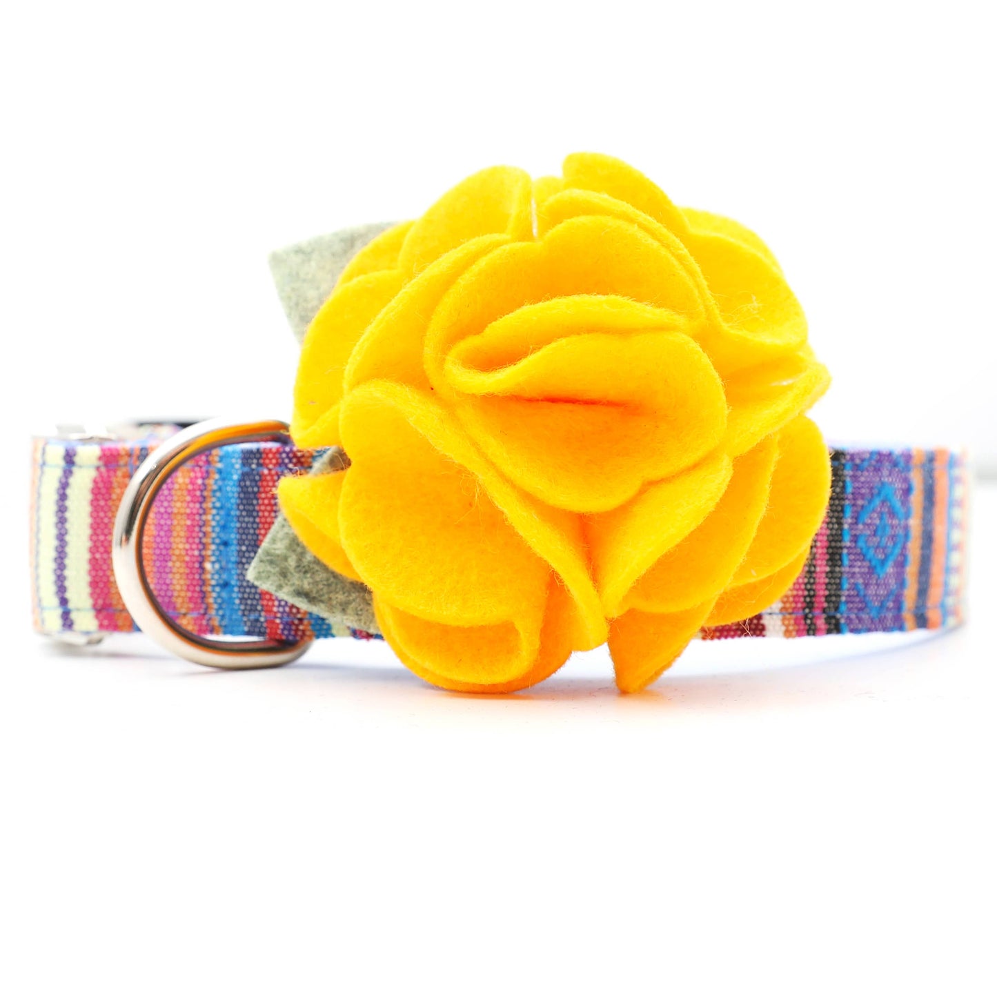 Dog Collar Hydrangea Flower