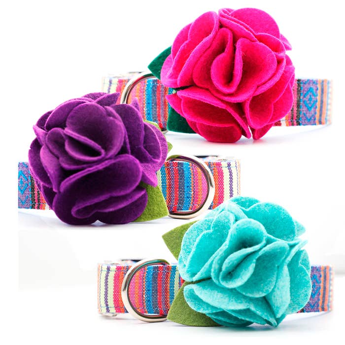 Dog Collar Hydrangea Flower